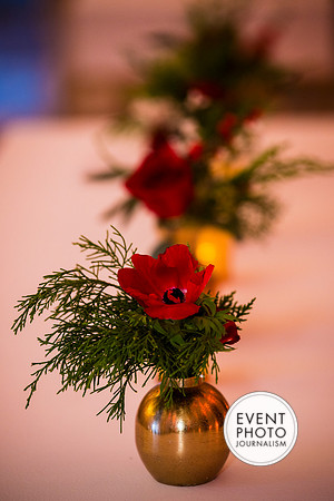0194__12-12-25_2025-Bain-&-Company-Holiday-Party-Library-of-Congress-DC-Event-Photojournalism-photography