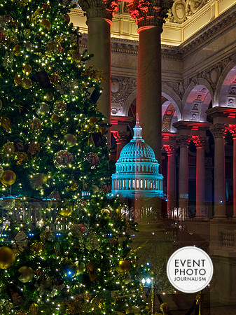 0288__12-12-25_2025-Bain-&-Company-Holiday-Party-Library-of-Congress-DC-Event-Photojournalism-photography