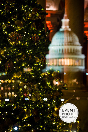 0296__12-12-25_2025-Bain-&-Company-Holiday-Party-Library-of-Congress-DC-Event-Photojournalism-photography
