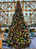 0003__12-14-25_Waldorf-Astoria-Hotel-Washington-DC-Holiday-Tea-Event-Photojournalism-photography