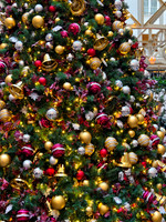 0005__12-14-25_Waldorf-Astoria-Hotel-Washington-DC-Holiday-Tea-Event-Photojournalism-photography