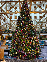 0004__12-14-25_Waldorf-Astoria-Hotel-Washington-DC-Holiday-Tea-Event-Photojournalism-photography