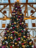 0006__12-14-25_Waldorf-Astoria-Hotel-Washington-DC-Holiday-Tea-Event-Photojournalism-photography