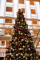 0017__12-14-25_Waldorf-Astoria-Hotel-Washington-DC-Holiday-Tea-Event-Photojournalism-photography