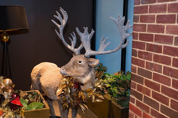 0250__12-20-25_Four-Seasons-Childrens-Holiday-Party-Rodney-Bailey-Photography