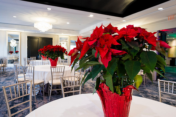 0287__12-20-25_Four-Seasons-Childrens-Holiday-Party-Rodney-Bailey-Photography
