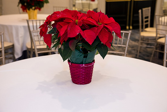 0290__12-20-25_Four-Seasons-Childrens-Holiday-Party-Rodney-Bailey-Photography
