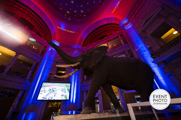 0145__12-8-22_Venture-Global-Holiday-Party-National-Museum-of-Natural-History-Washington-DC-EventPhotojournalism-event-photographers