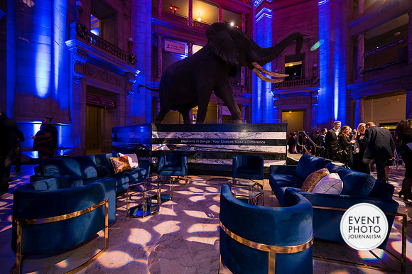 0343__12-8-22_Venture-Global-Holiday-Party-National-Museum-of-Natural-History-Washington-DC-EventPhotojournalism-event-photographers