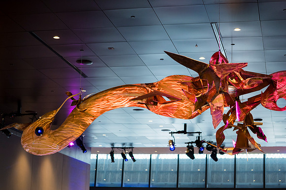 0125__8-2-25_Damien-Dwin-Celebration-National-Museum-of-African-American-Museum-Washington-DC-event-Rodney-Bailey-Photography