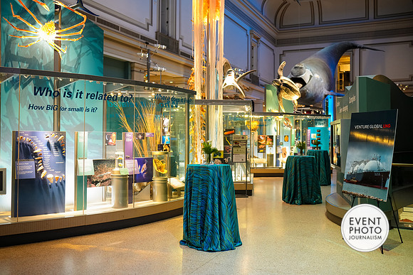 0220__12-8-22_Venture-Global-Holiday-Party-National-Museum-of-Natural-History-Washington-DC-EventPhotojournalism-event-photographers