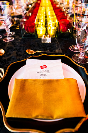 Anderson-House-photos-The-Society-of-the-Cincinnati-event-photographers-Washington-DC-Event-Photojournalism-photography__0022