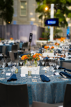 Photos-for-northern-Virginia-Galas-Event-Photojournalism-photographers__0012