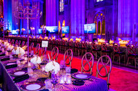 Washington-National-Cathedral-Washington-DC-Gala-Photography-Event-Photojournalism-photographer__0005
