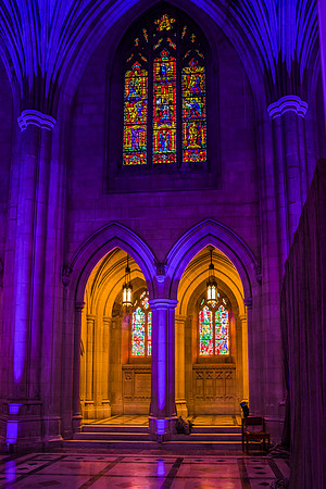 Washington-National-Cathedral-Washington-DC-Gala-Photography-Event-Photojournalism-photographer__0003