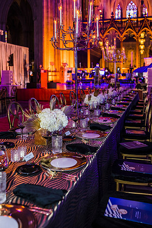 Washington-National-Cathedral-Washington-DC-Gala-Photography-Event-Photojournalism-photographer__0011