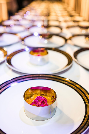 Washington-National-Cathedral-Washington-DC-Gala-Photography-Event-Photojournalism-photographer__0014