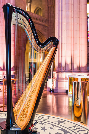 Washington-National-Cathedral-Washington-DC-Gala-Photography-Event-Photojournalism-photographer__0013