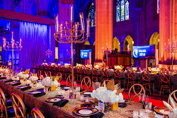 Washington-National-Cathedral-Washington-DC-Gala-Photography-Event-Photojournalism-photographer__0012