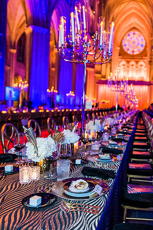 Washington-National-Cathedral-Washington-DC-Gala-Photography-Event-Photojournalism-photographer__0031