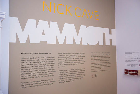 0060__2-12-26_Smithsonian-American-Art-Museum-Nick-Cave-Mammoth-National-Portrait-Gallery-DC-Event-Photojournalism