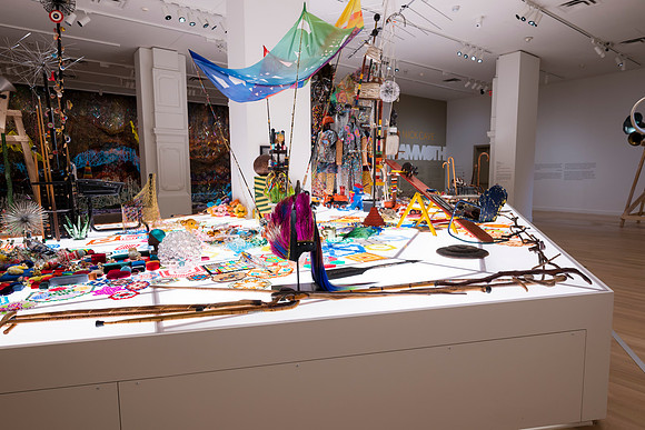 0093__2-12-26_Smithsonian-American-Art-Museum-Nick-Cave-Mammoth-National-Portrait-Gallery-DC-Event-Photojournalism