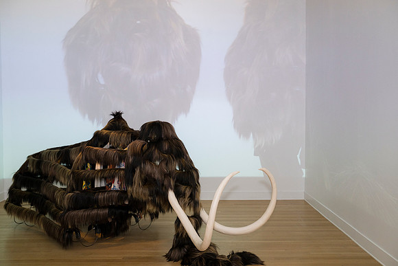 0097__2-12-26_Smithsonian-American-Art-Museum-Nick-Cave-Mammoth-National-Portrait-Gallery-DC-Event-Photojournalism
