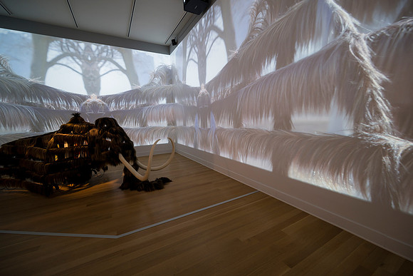 0104__2-12-26_Smithsonian-American-Art-Museum-Nick-Cave-Mammoth-National-Portrait-Gallery-DC-Event-Photojournalism