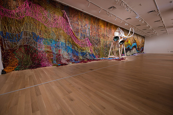 0120__2-12-26_Smithsonian-American-Art-Museum-Nick-Cave-Mammoth-National-Portrait-Gallery-DC-Event-Photojournalism