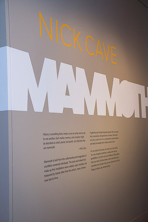 0141__2-12-26_Smithsonian-American-Art-Museum-Nick-Cave-Mammoth-National-Portrait-Gallery-DC-Event-Photojournalism