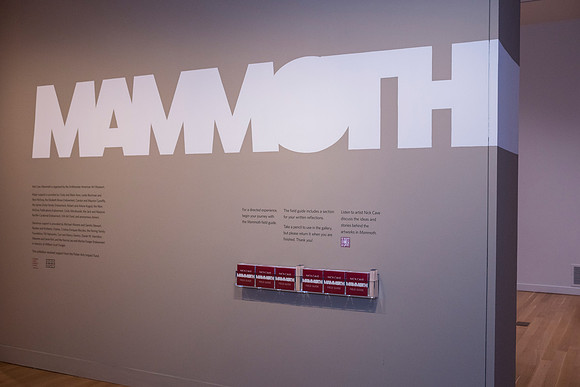 0144__2-12-26_Smithsonian-American-Art-Museum-Nick-Cave-Mammoth-National-Portrait-Gallery-DC-Event-Photojournalism