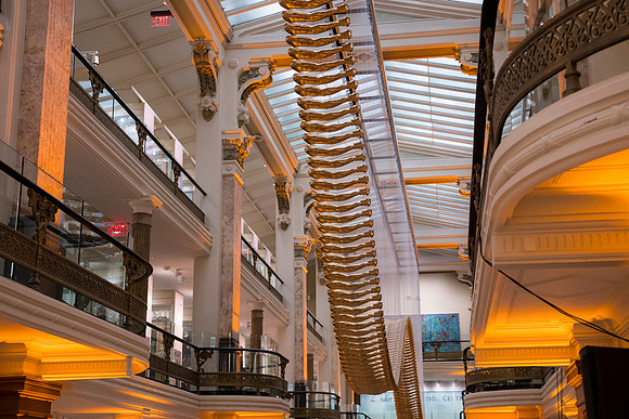 0156__2-12-26_Smithsonian-American-Art-Museum-Nick-Cave-Mammoth-National-Portrait-Gallery-DC-Event-Photojournalism