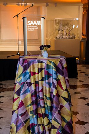 0167__2-12-26_Smithsonian-American-Art-Museum-Nick-Cave-Mammoth-National-Portrait-Gallery-DC-Event-Photojournalism
