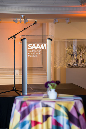 0168__2-12-26_Smithsonian-American-Art-Museum-Nick-Cave-Mammoth-National-Portrait-Gallery-DC-Event-Photojournalism