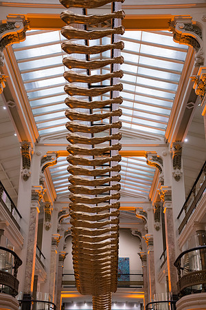0170__2-12-26_Smithsonian-American-Art-Museum-Nick-Cave-Mammoth-National-Portrait-Gallery-DC-Event-Photojournalism