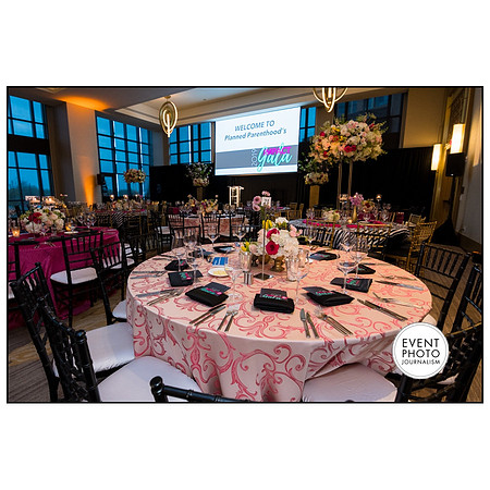0304__4-12-19-2019-PPMW-Gala-Washington-DC