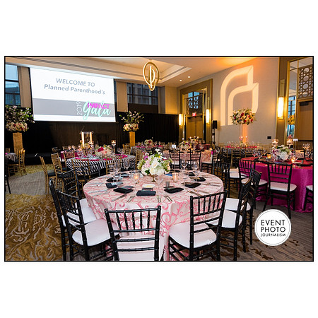 0263__4-12-19-2019-PPMW-Gala-Washington-DC