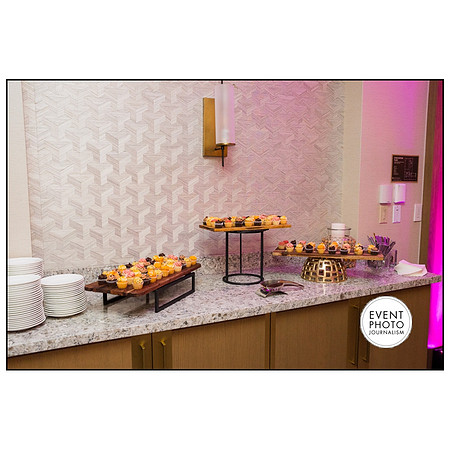 1420__4-12-19-2019-PPMW-Gala-Washington-DC