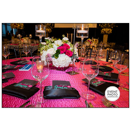 0161__4-12-19-2019-PPMW-Gala-Washington-DC
