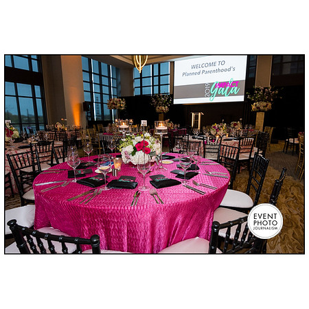 0272__4-12-19-2019-PPMW-Gala-Washington-DC