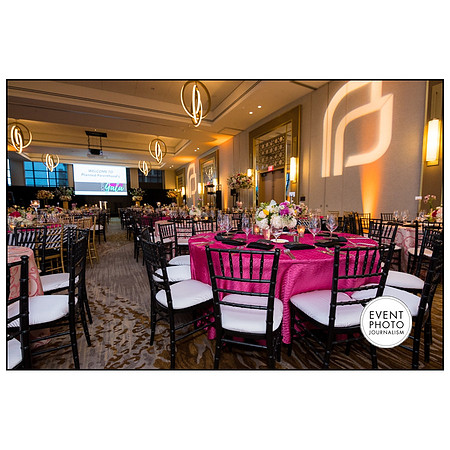 0307__4-12-19-2019-PPMW-Gala-Washington-DC