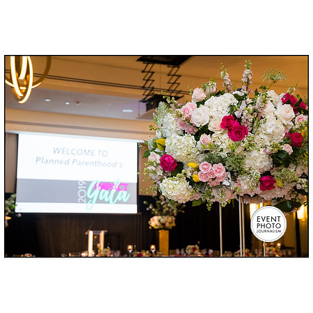 0309__4-12-19-2019-PPMW-Gala-Washington-DC