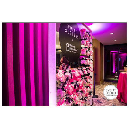 1905__4-12-19-2019-PPMW-Gala-Washington-DC