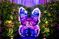 287__3-2-19 MedForce-Allergan-Reception-Mellon-Auditorium-Washington-DC-event-photographers-Event-Photojournalism