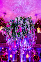 285__3-2-19 MedForce-Allergan-Reception-Mellon-Auditorium-Washington-DC-event-photographers-Event-Photojournalism