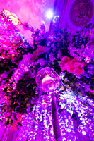 291__3-2-19 MedForce-Allergan-Reception-Mellon-Auditorium-Washington-DC-event-photographers-Event-Photojournalism