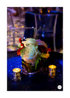 0003__12-8-22_Venture-Global-Holiday-Party-National-Museum-of-Natural-History-Washington-DC-EventPhotojournalism-event-photographers