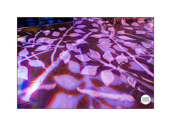 0026__12-8-22_Venture-Global-Holiday-Party-National-Museum-of-Natural-History-Washington-DC-EventPhotojournalism-event-photographers