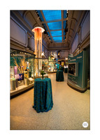 0012__12-8-22_Venture-Global-Holiday-Party-National-Museum-of-Natural-History-Washington-DC-EventPhotojournalism-event-photographers