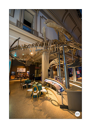 0014__12-8-22_Venture-Global-Holiday-Party-National-Museum-of-Natural-History-Washington-DC-EventPhotojournalism-event-photographers